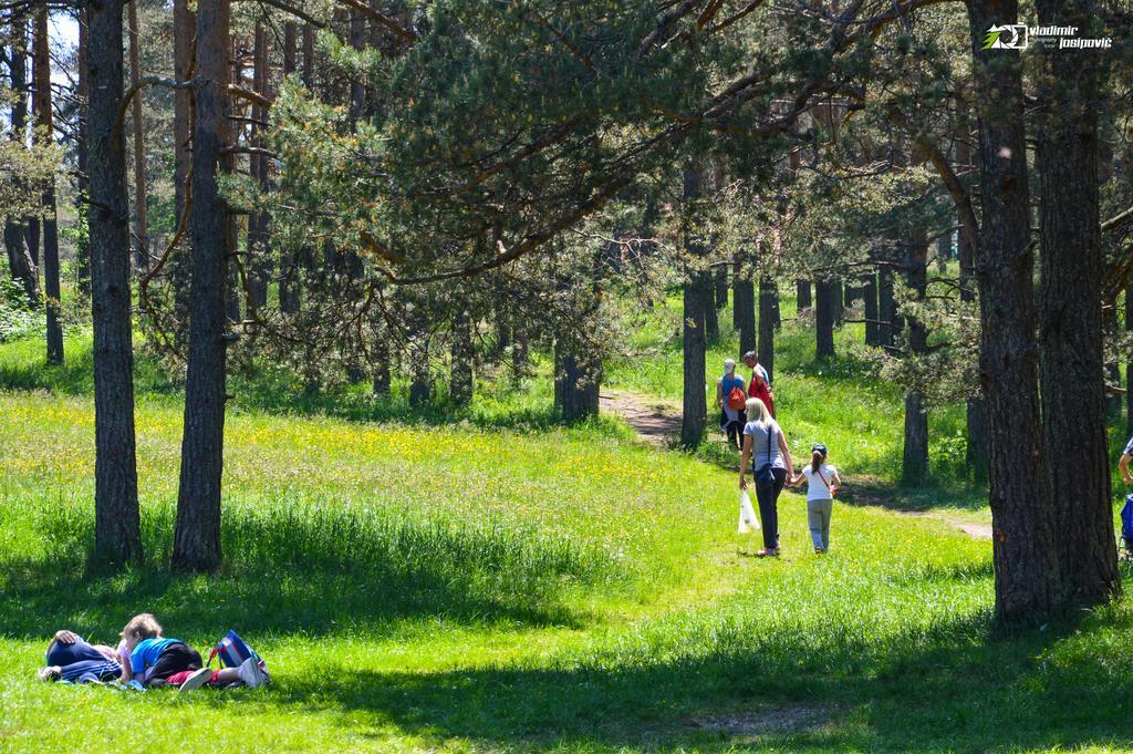 Apartments Josipovic Zlatibor Buitenkant foto
